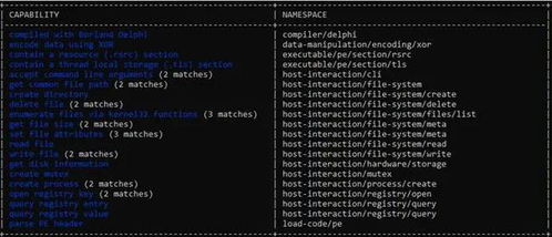一小時(shí)攻陷 Cobalt Strike與NetWalker勒索軟件家族深度分析與防御策略